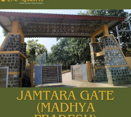 Jamtara Gate