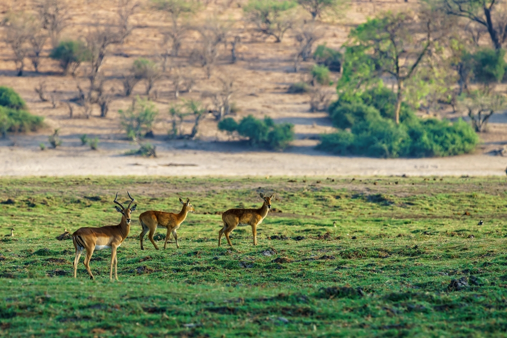 Entry Points to Pench National Park