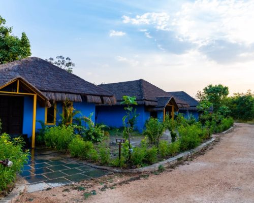 Best Place to Stay in Pench National Park