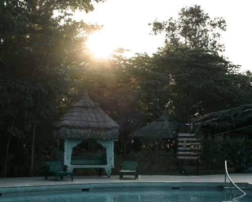 Luxury Resort in Pench National Park