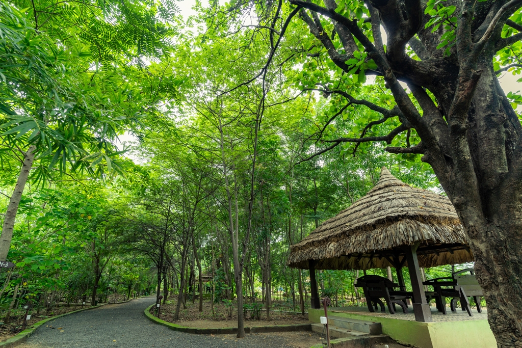 Best Time To Visit Pench National Park