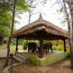 Best Resort for Events in Pench